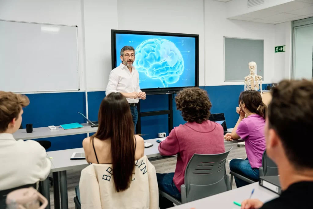Instructor teaches students using brain anatomy display